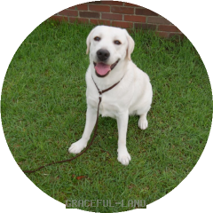 おすましのチャールズ